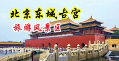 美女模特逼欠插毛片中国北京-东城古宫旅游风景区